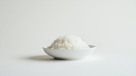 A simple serving of plain white rice on a white dish, set against a clean white background, emphasizing the minimalist and classic presentation.の素材
