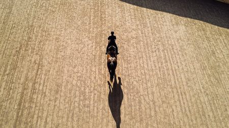 Aerial view of a horse and its rider in a dressage arena, practicing graceful movements.の素材