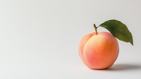 A fresh Japanese peach with subtle blush hues, set against a plain white background. Copy space available for text.の素材
