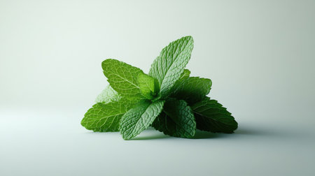 A group of mint leaves stacked in a pile, isolated on a white background, with soft lighting to accentuate the layers and depth.の素材