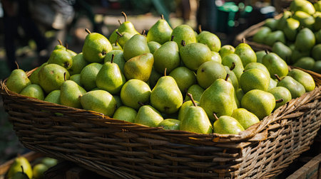 Fresh green pears piled in a basket, Depok, Indonesia - August 1st, 2024. A sweet and juicy harvest ready for enjoyment.の素材