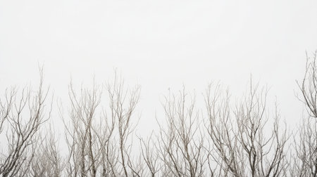 Dense grouping of bare tree branches stretching against a pale gray sky, creating a haunting natural sceneの素材