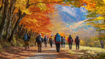Hiking group walking under a canopy of vibrant autumn leaves near Tsuta Onsen, enjoying the crisp fall air in Aomoriaes natural landscape.の素材