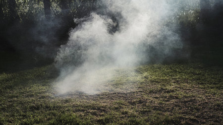 Light white smoke gently drifting across the ground, creating an ethereal, mysterious ambiance, perfect for adding atmosphere to photos, performances, or event spaces.の素材
