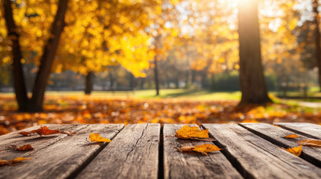 A serene autumn landscape featuring a wooden table with fallen leaves, illuminated by soft sunlight filtering through trees in a tranquil park setting.の素材