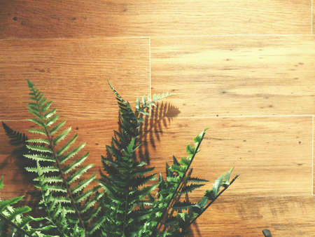 Background vintage