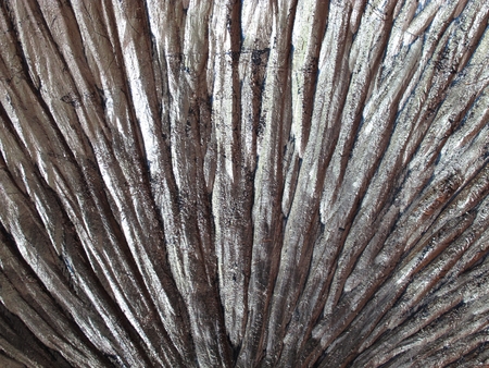 wood handmade background 3の写真素材