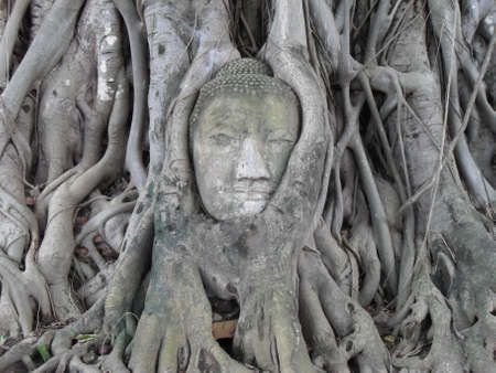 Buddhaの写真素材