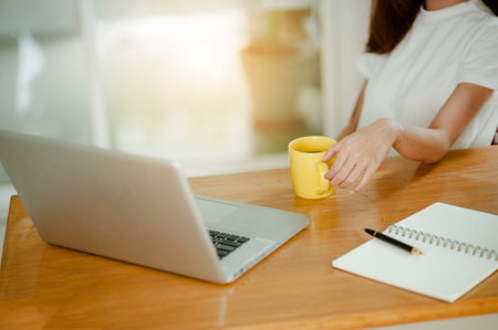 beautiful women owner business woman work at home for online shopping .online business conceptの写真素材