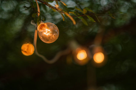 vintage lamp.vintage lamp.の写真素材