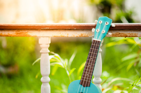 Close up of ukulele .の写真素材