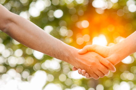 Shake hands in park.finishing up a meeting.Men shaking hands.の写真素材