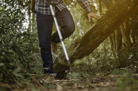 Hiking in mountains or forest.Group of hikers walking in mountains or forest.の写真素材