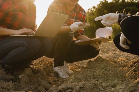 agriculture, gardener, farm, harvest, field, technology concept. A team of farmers conducting research on plants and soil by using plantations for quality agriculture.の写真素材