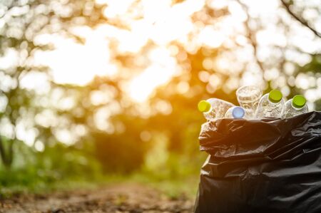Collect plastic bottles in the garden.Environmentalism & Plastic Awareness.Forest clean-ups.