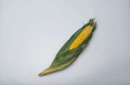Sweetcorn on white background, food healthy concept.