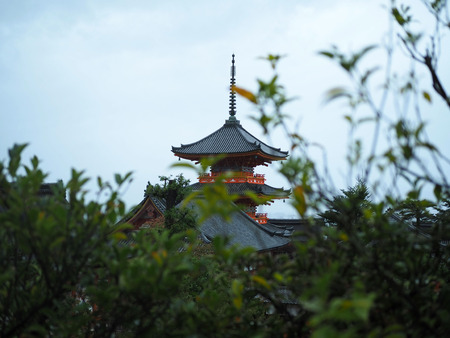 Architecture and tree during the rain in Kiyomizu Temple at Kyotoのeditorial素材