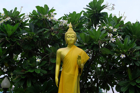 The Buddha statue among the flower in the morningの写真素材