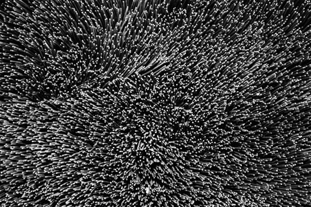 Abstract background bottom of incense, Top view of wooden small stick, Background of spot on top...