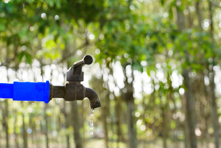 Water valve on green nature background, Close up tap valve with blur background of green tree, Water...