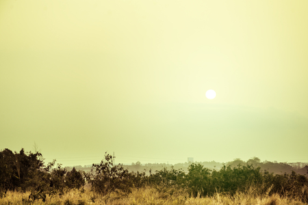 Blur background of flare light in the morning, Light yellow of sunrise above green field, Warm background of sun shine, Landscape nature background of green treeの写真素材