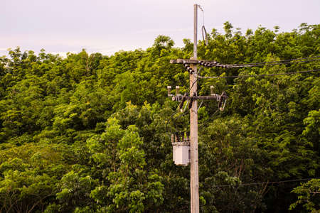 Top view of electricity pylon with green tree on sunset sky, Transmission line of electricity to rural with green natureの写真素材