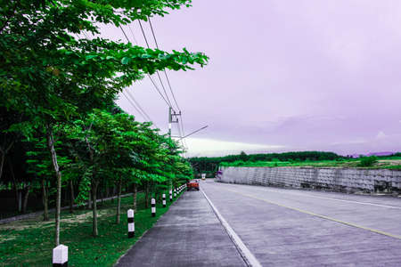 Green road in sunset sky, Row of green tree beside the roadの写真素材