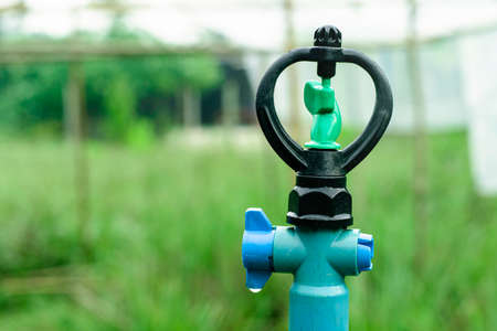 Sprinkler watering the plants over green gardenの写真素材