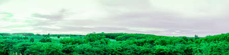 Landscape panorama of green forest with orange sunset sky, Top view of green tree forestの写真素材