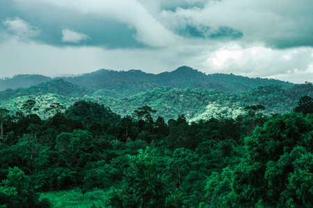 Top view of landscape dark green mountain with raining cloudy sky