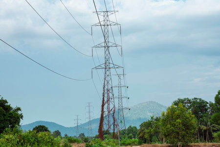 Electricity transmission line with green tree nature, Green conservative energy, Energy be friendly with environment concept, Power distribution pylon system to rural community and countrysideの写真素材