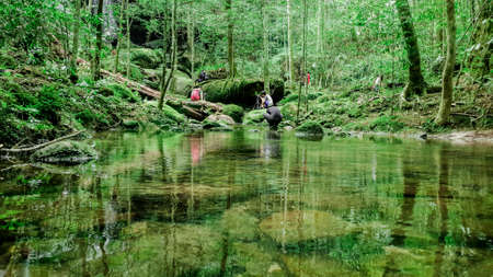 Traveller and photographer are taking the photo of waterfall, Clear river with green rocks and trees above the water surface, Nature leaves shadow over the river in the dark forestの写真素材
