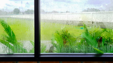 Rain drop on glass window with green plant outside home, Abstract background of  rain water wet on...