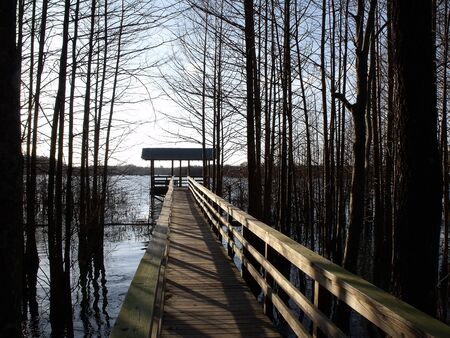 Boardwalkの写真素材