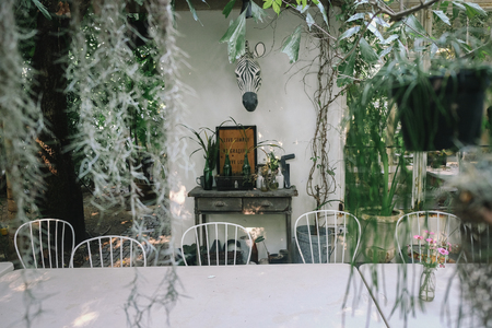 Black and white Zebra head on white cement wall with the inspiration quote wooden frame on the table. Hipster cozy decorated garden.の写真素材