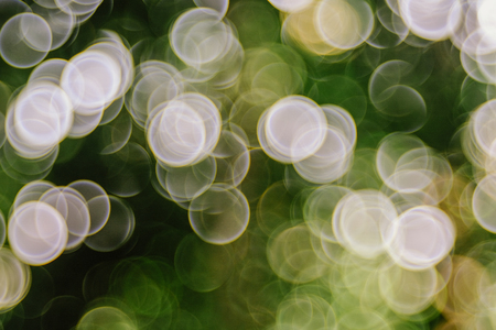 Fresh healthy green bio background with abstract blurred foliage and bright summer sunlight. Bokeh from leaf.の写真素材
