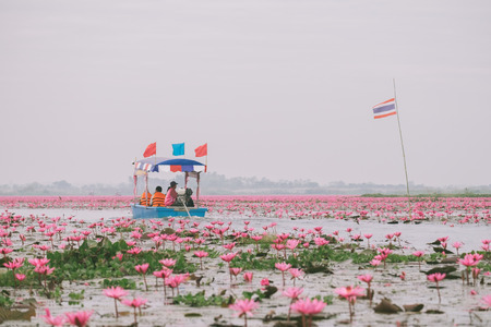 traveler on the boat at Red Lotus sea in Udon Thani,Thailand. Unseen in Thailandの写真素材