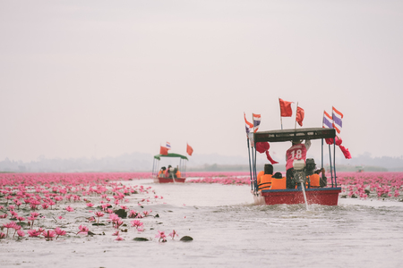 traveler on the boat at Red Lotus sea in Udon Thani,Thailand. Unseen in Thailandの写真素材