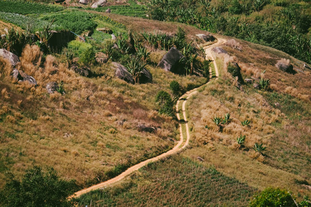 Wild Himalayan Cherry with blue sky and cloud background. Thai sakura blooming during winter in Thailandの写真素材