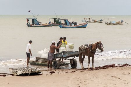 Fishermen of the Brazilian Northeast load the salt for the conservation of fishのeditorial素材