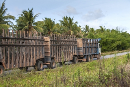 Truck for the transport of sugar cane for the production of ethanol in Brazilのeditorial素材