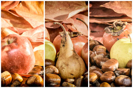 Different cool fruit of autumnの写真素材