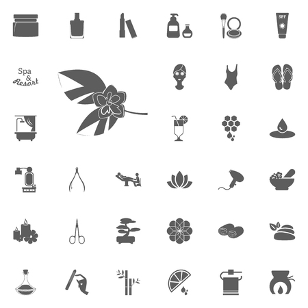 Therapy flowers icon. Spa and Recreation vector set icons. Set of 33 spa iconsのイラスト素材