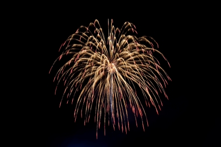 Colorful fireworks in the night sky 