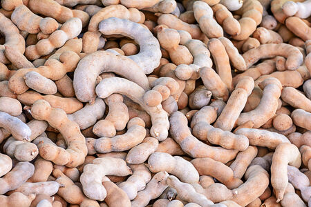 Pile of sweet tamarind fruit at street market の写真素材