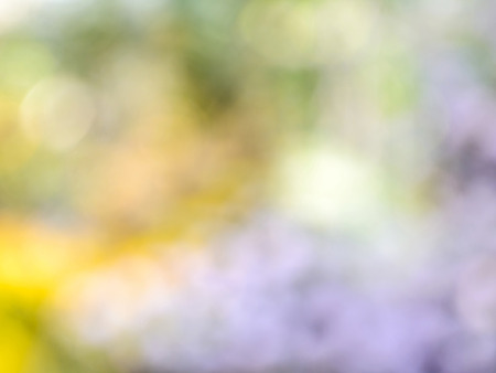 Beautiful abstract background smooth color with empty space for text の写真素材