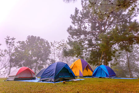 Touristic tent in a forest at the morning with mist.の写真素材