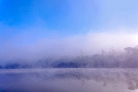 Mist on a lake at dawn with tree reflected in the calm water.の写真素材