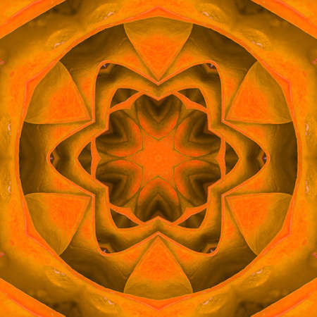 Abstract background pattern made from petals rose flowers.の写真素材