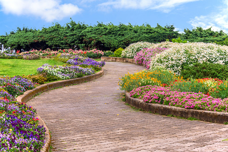 Landscaping in the garden. The path in the garden, with blue sky.の写真素材